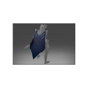 Auspicious Cloak of the Master Thief