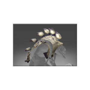 Auspicious Headdress Of The Yuwipi